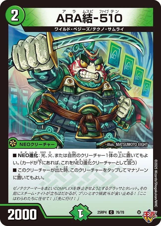 〔C〕 DM25-RP4 （76/78） 《ARA結-510》