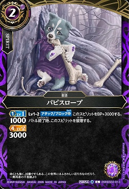 【C】 26RBS02-013 パピスロープ
