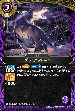 【C】 26RBS02-014 ブラックシャール