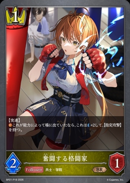 〈 P 〉 BP21-P18 奮闘する格闘家