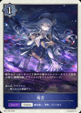 〈 P 〉 BP21-P65 痛苦