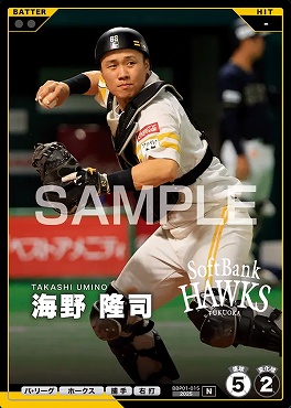 〔N〕 BBP01-015 海野 隆司