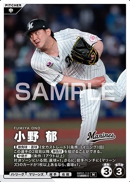 〔N〕 BBP01-113 小野 郁