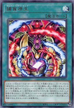 【 R 】 BLZD-JP055 《捕食原生》 ☆新☆