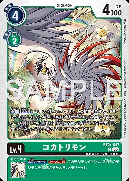 〔C〕 BT24-047コカトリモン