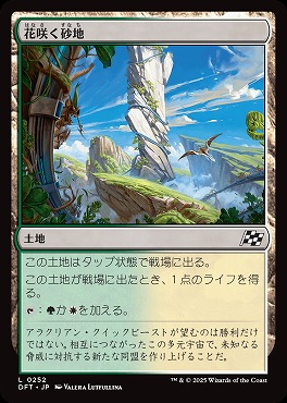 日【L】DFT0252花咲く砂地(JPN)