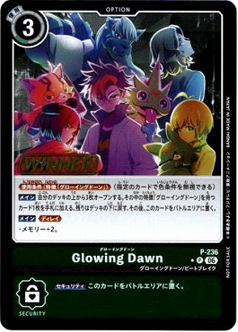 !★パラ★(P) P-236Glowing Dawn