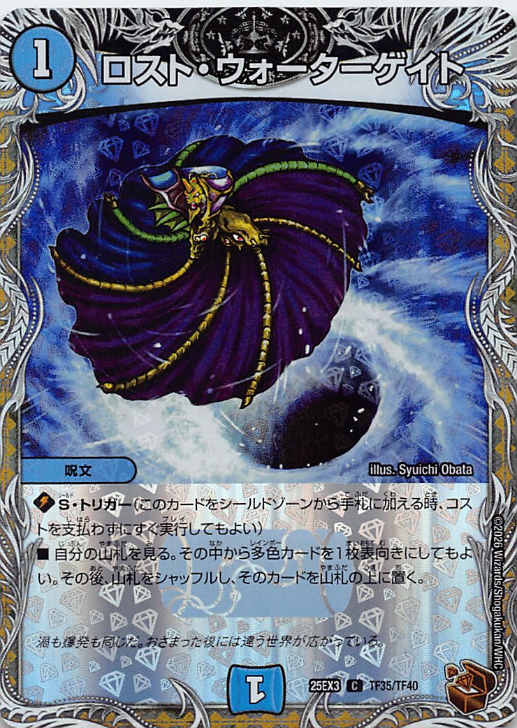 [ 黒T ] （TF35/TF40） 《ロスト・ウォーターゲイト》