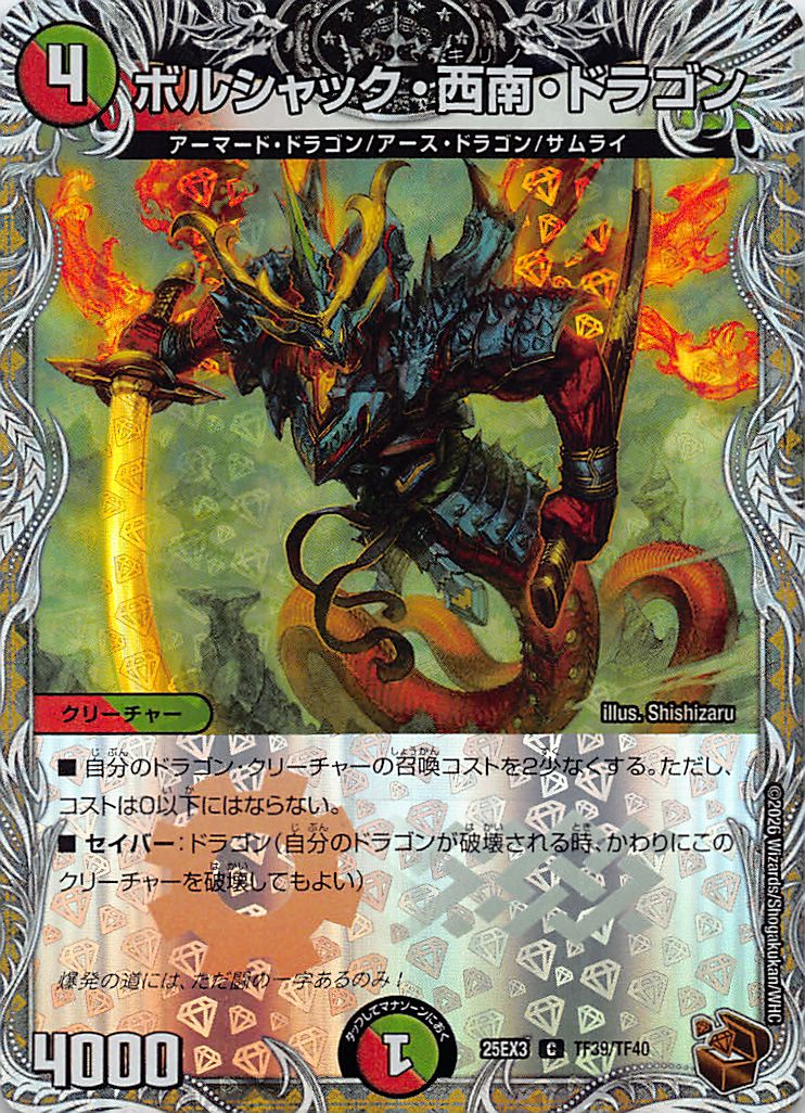 [ 黒T ] （TF39/TF40） 《ボルシャック・西南・ドラゴン》
