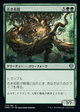 日〈U〉DMU173古き苔髭(JPG)