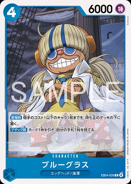 〔C〕 EB04-026 ブルーグラス