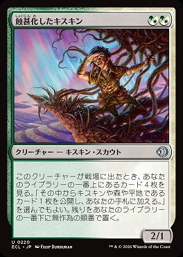 日《U》ECL0220蝕甚化したキスキン(JPN)