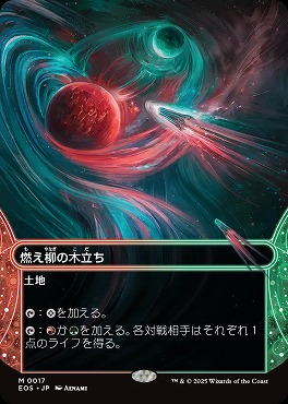 日[M]EOS0017燃え柳の木立ち【ショーケース】(JPN)