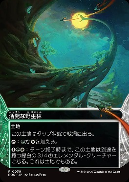 日〈R〉EOS0039活発な野生林【ショーケース】(JPN)