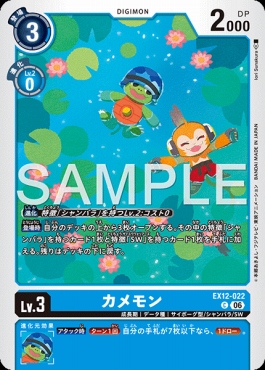 〔C〕 EX12-022カメモン