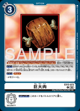 〔C〕 EX12-073巨大肉