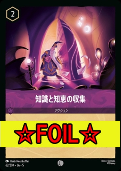 < Foil >〔C〕Ja05-062《知識と知恵の収集》