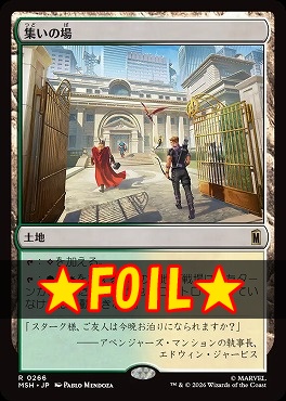 foil日〈R〉MSH0266集いの場(JPN)