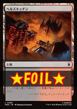 foil日【L】MSH0268ヘルズキッチン(JPN)