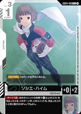 〔C〕 GD04-100 ソシエ・ハイム