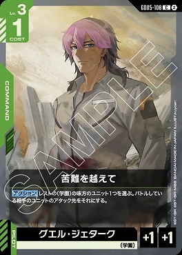〔C〕 GD05-108 苦難を越えて