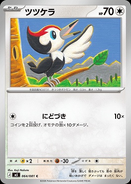 〔C〕 M5 064/081 ツツケラ