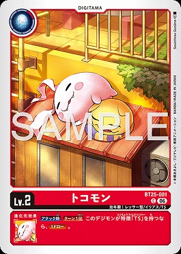 〔C〕 BT25-001トコモン