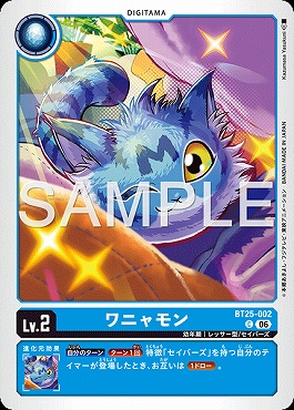 〔C〕 BT25-002ワニャモン
