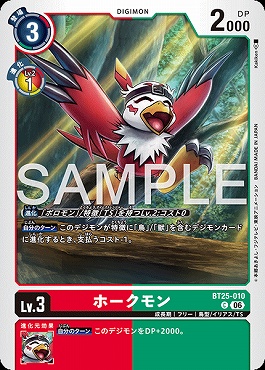 〔C〕 BT25-010ホークモン