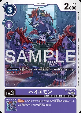 〔C〕 BT25-079ハイエモン