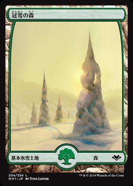 日【L】MH1254冠雪の森 (JPN)