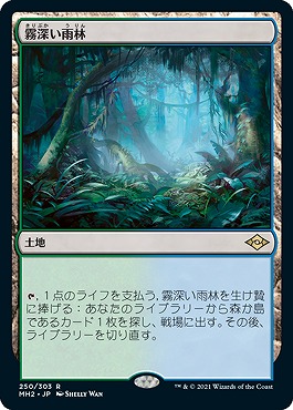 日{R}MH2250霧深い雨林(JPN)
