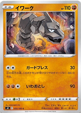 〔C〕 55/100 イワーク