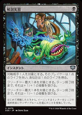 日《U》SOS0079解剖実習(JPN)