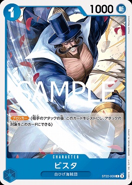 〔C〕 ST22-009 ビスタ