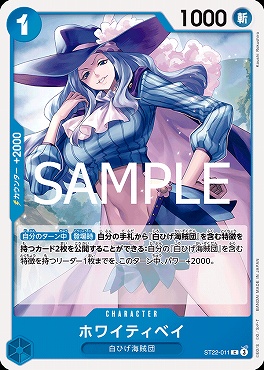 〔C〕 ST22-011 ホワイティベイ