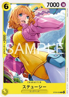 〔C〕 ST29-006 ステューシー