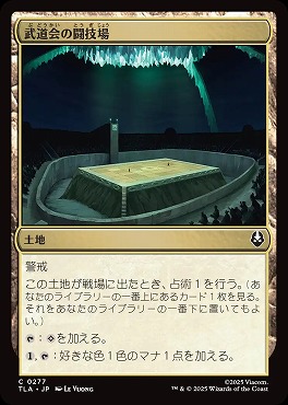 日【C】TLA0277武道会の闘技場(JPN)