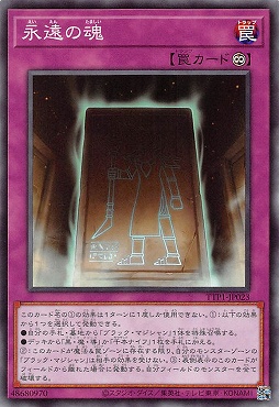 〔 N 〕 TTP1-JP023 《永遠の魂》