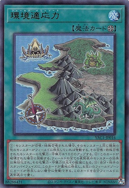 〈 UR 〉 YAC1-JP016 《環境適応力》