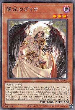 【 R 】 WPP7-JP040 《暁光のブイオ》