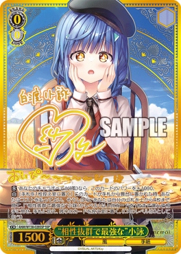 !!!★パラ ( SSP ) anm_w138_028ssp 《“相性抜群で最強な”小詠》