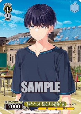 !★パラ [TDS] anm_w138_t05s “妹とともに旅をする青年”麦