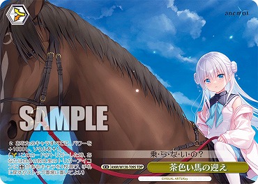 !★パラ [TDS] anm_w138_t09s 茶色い馬の迎え