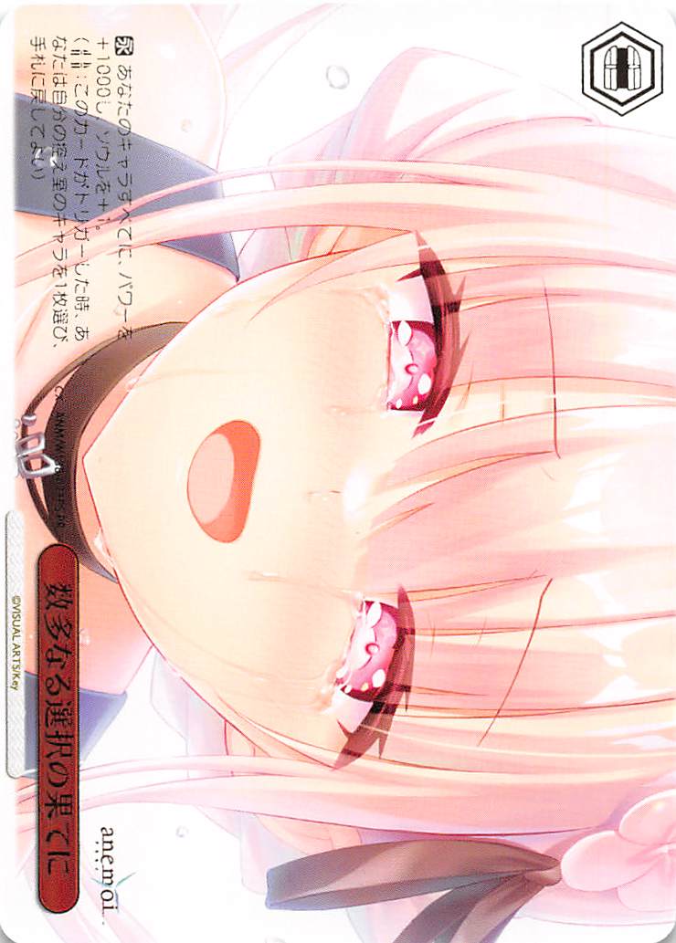 !★パラ【PR】 anm_w138_077r 《数多なる選択の果てに》