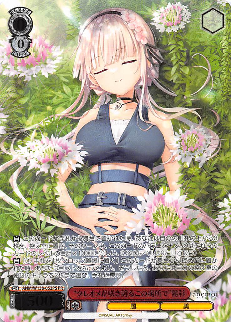 !★パラ【PR】 anm_w138_052s 《“クレオメが咲き誇るこの場所で”陽彩》