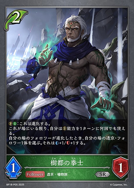 〈 P 〉 BP18-P05 樹都の拳士