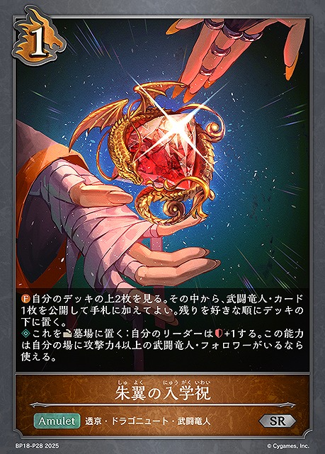 〈 P 〉 BP18-P28 朱翼の入学祝