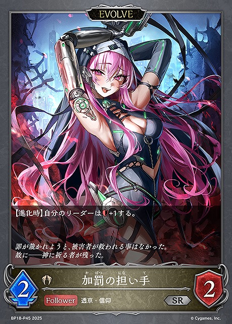 〈P〉 BP18-P45 加罰の担い手 [EVOLVE]