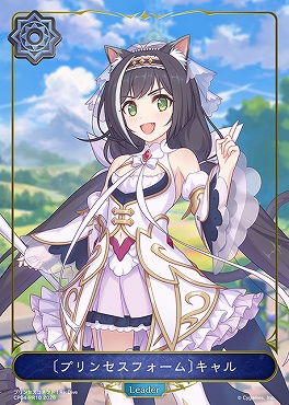 〈 PR 〉 CP04-PR10 〔プリンセスフォーム〕キャル